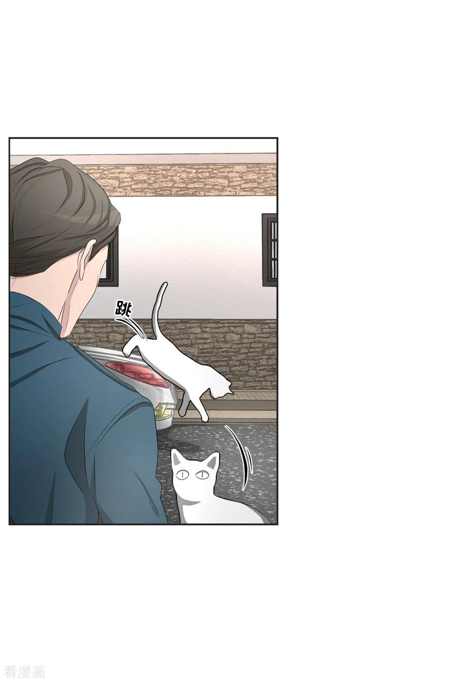 第41话朴警官送汤姆回家-影子侦探-趣编文化（第14张）