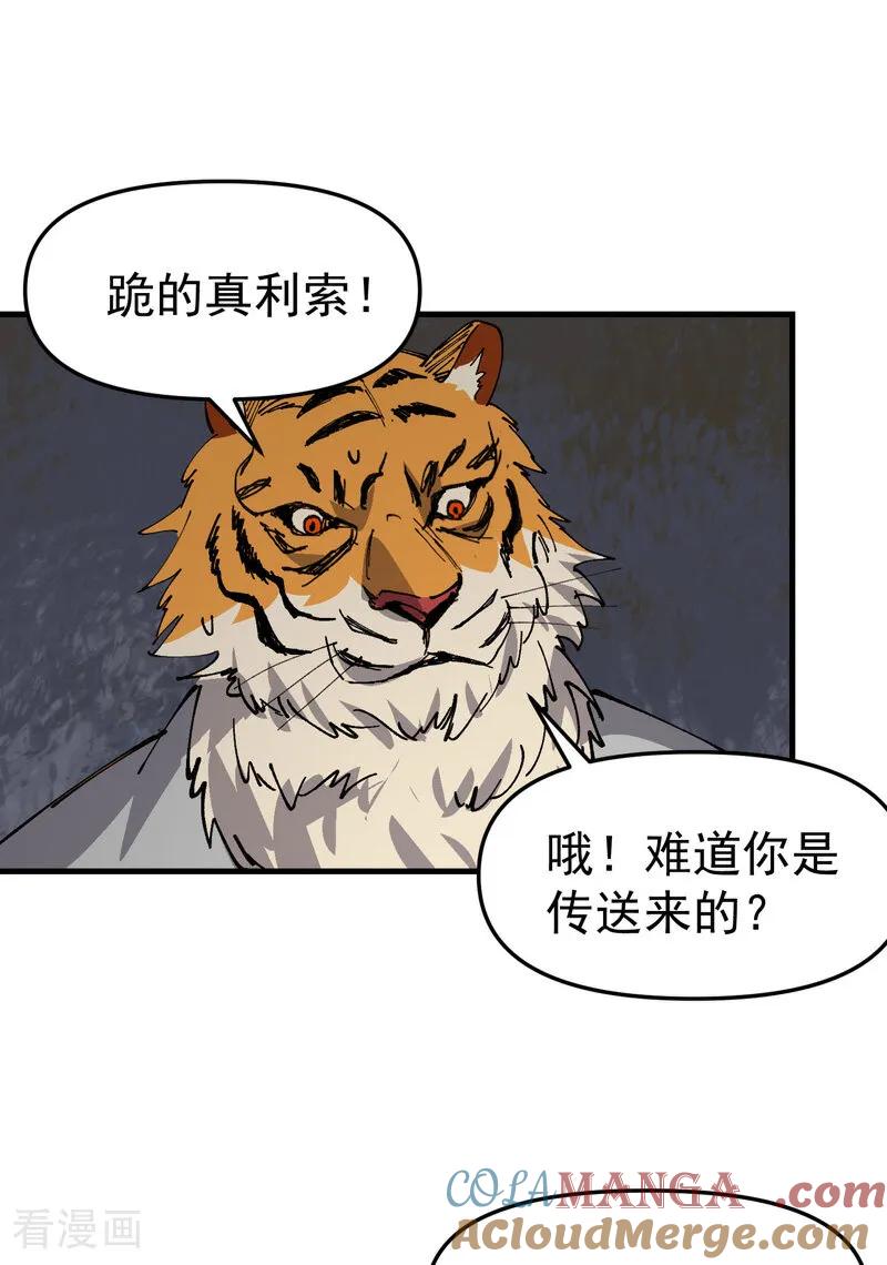 19.jpg