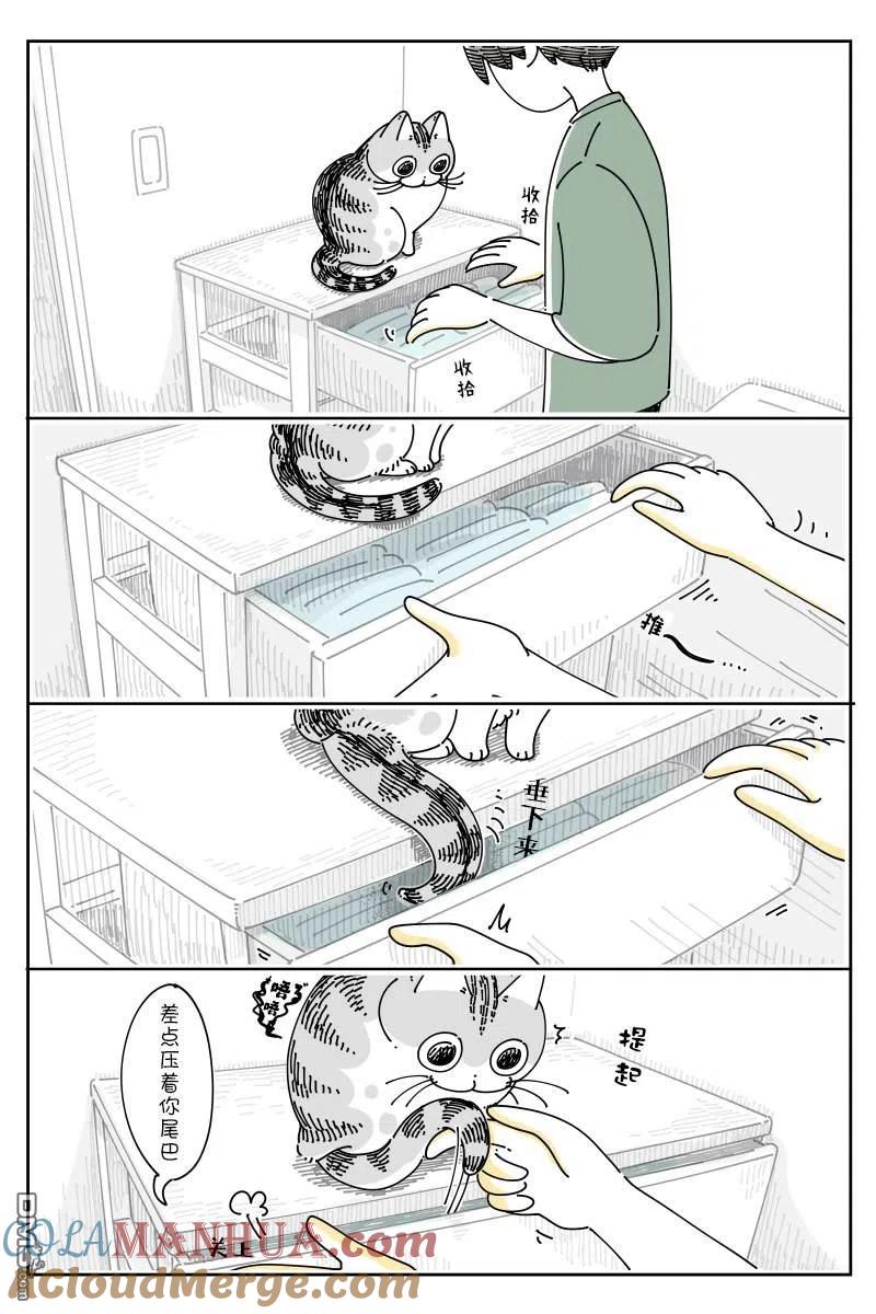 第123话-关于养猫我一直是新手-キュルZ（第1张）
