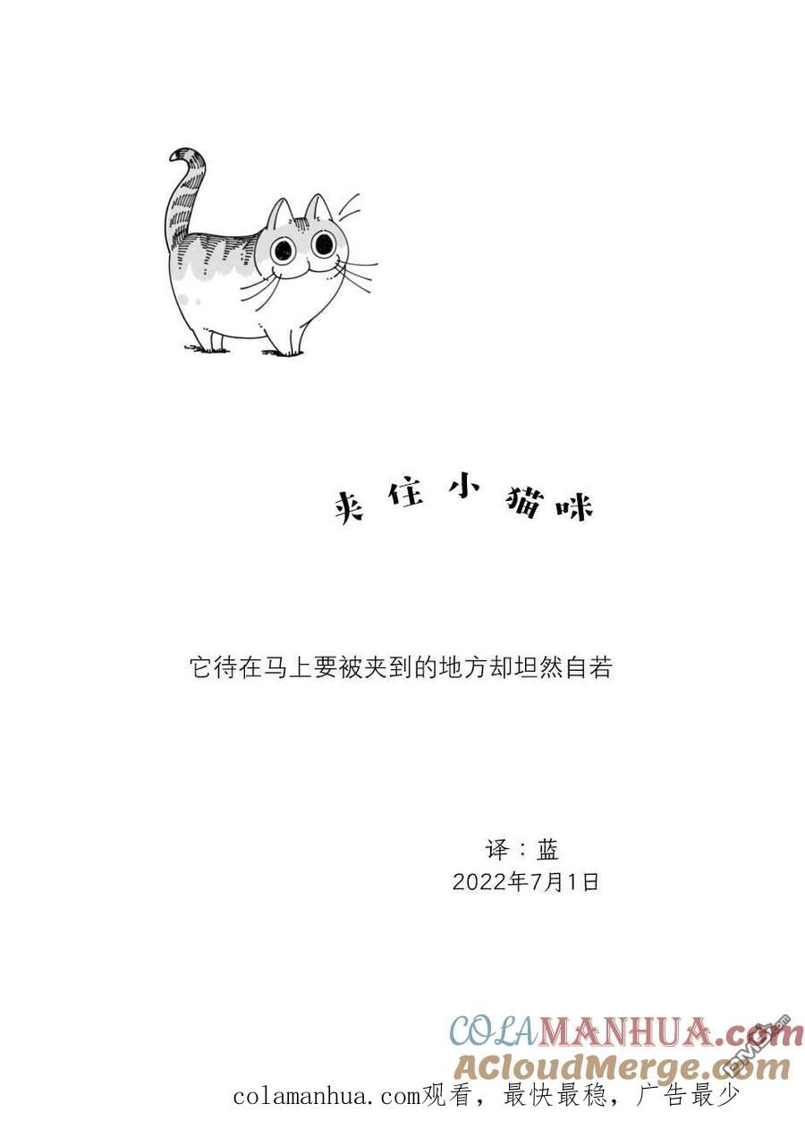 第123话-关于养猫我一直是新手-キュルZ（第3张）