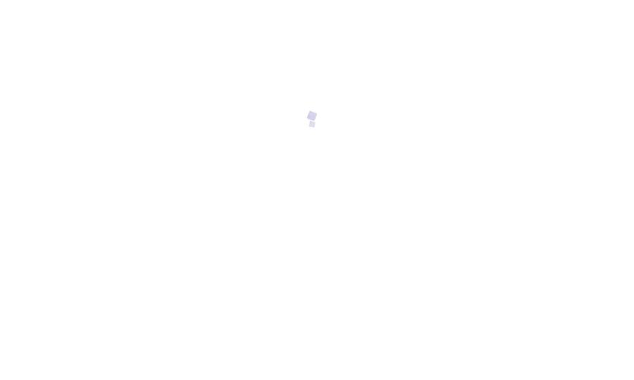 96.jpg