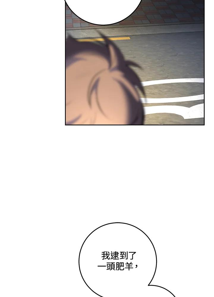 74.jpg