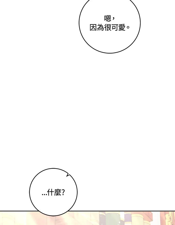 102.jpg