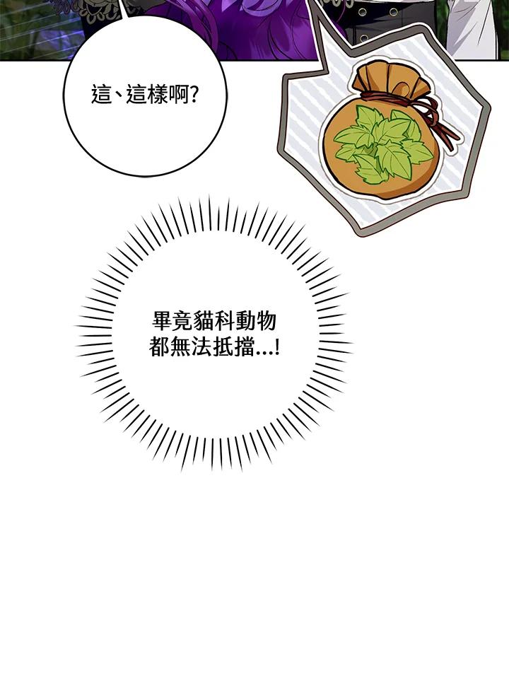75.jpg