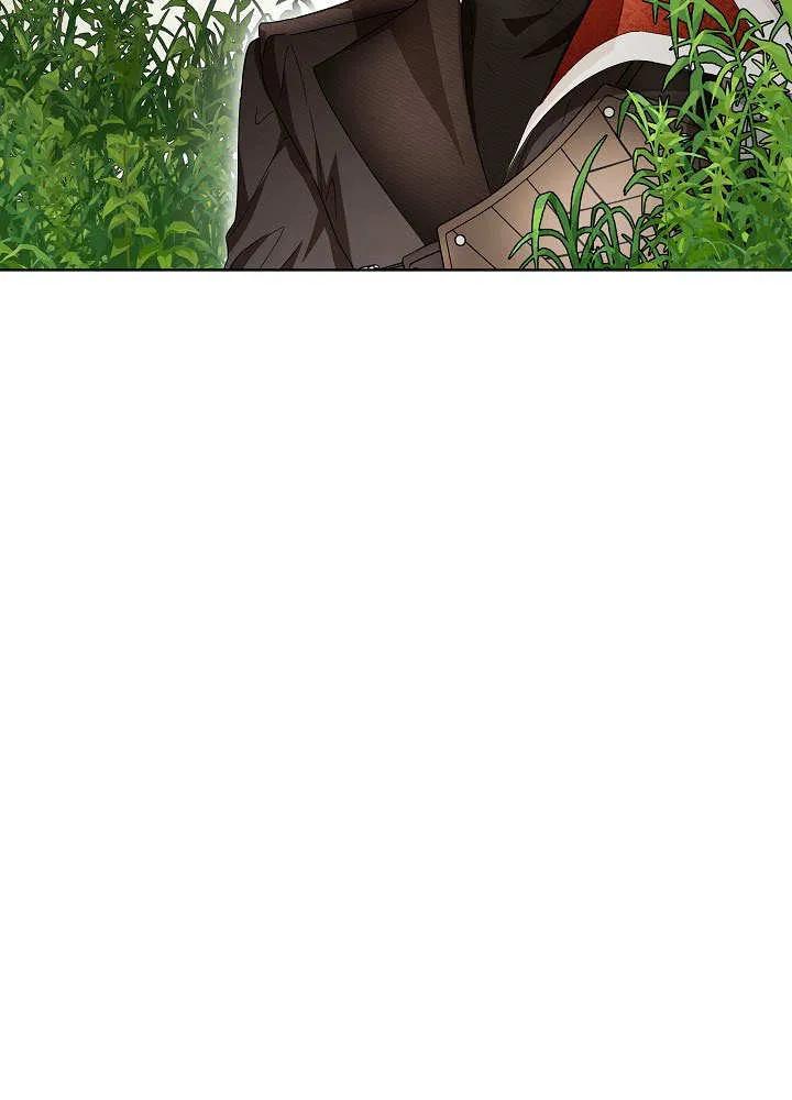 74.jpg
