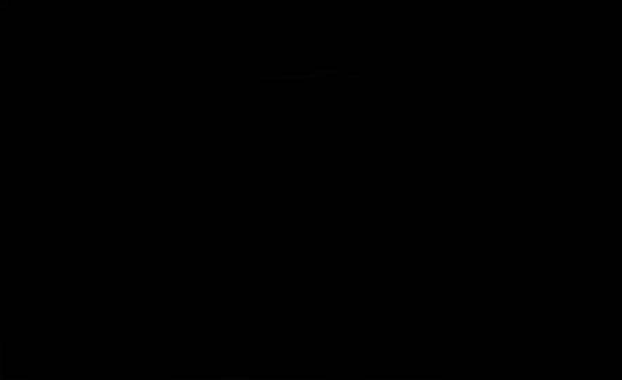 95.jpg