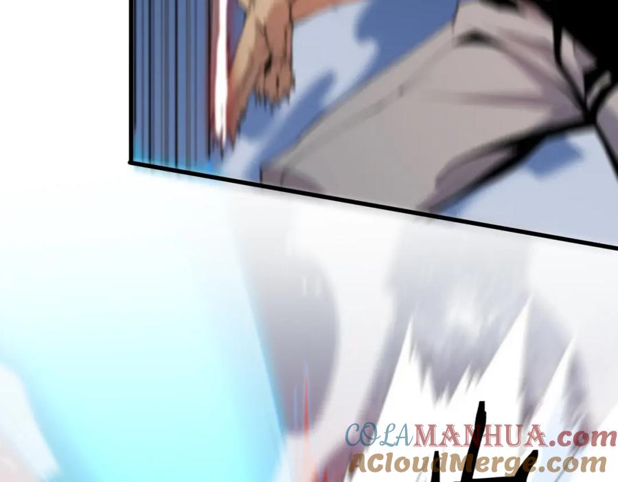 113.jpg