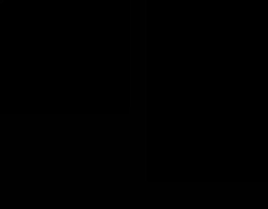 123.jpg
