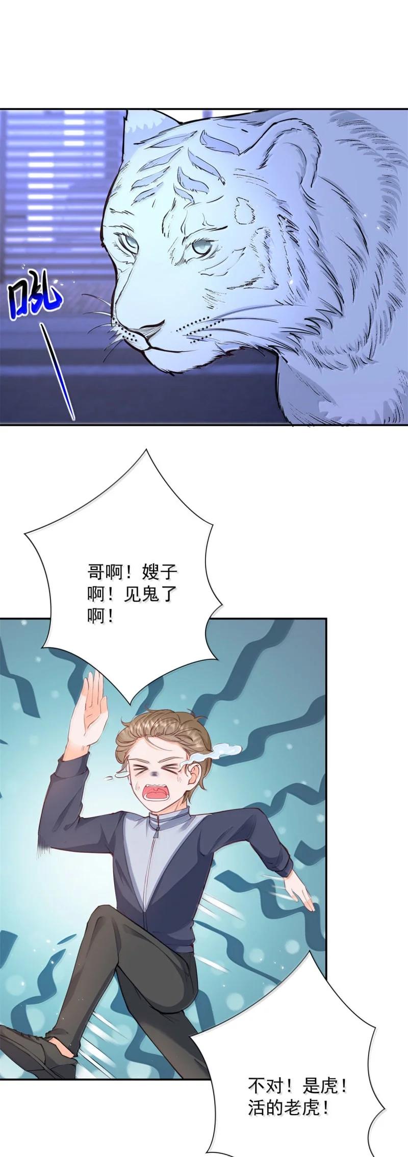 402第395话白虎-许你万丈光芒好-大行道动漫（第1张）