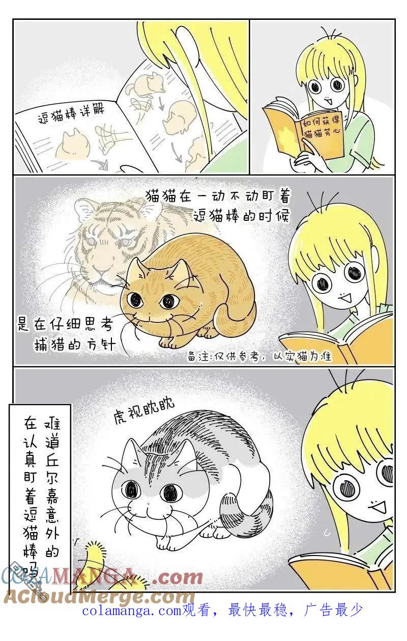 第229话-关于养猫我一直是新手-キュルZ（第1张）