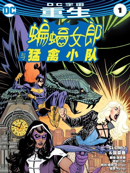 蝙蝠女郎与猛禽小队