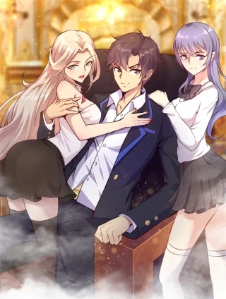 帝婿