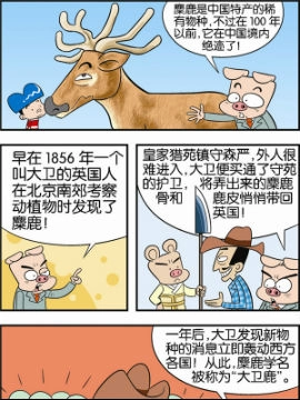 动物可笑堂41