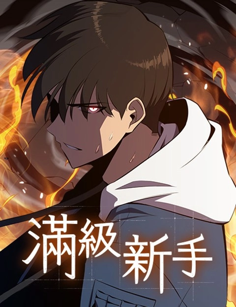 满级新手
