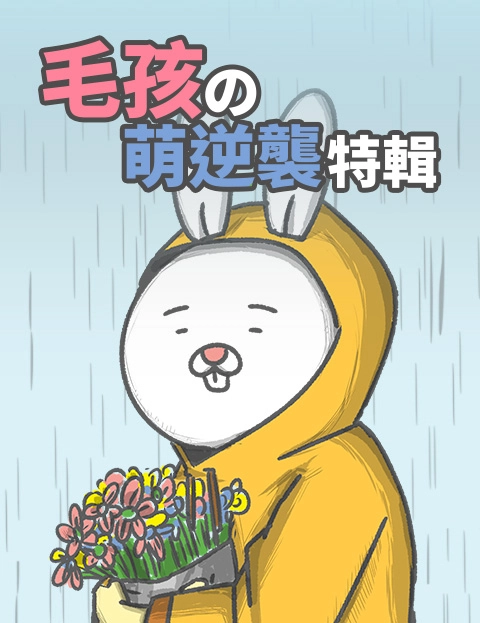 毛孩の萌逆袭特辑