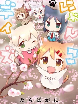 猫咪日常