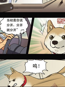 魔术师恋人30