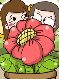 男人四十一朵花