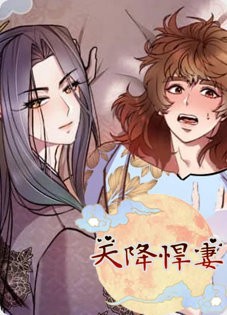 天降悍妻