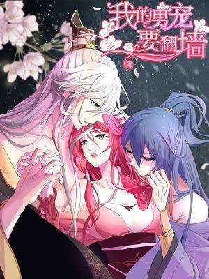 我的男宠要翻墙