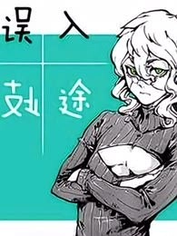 误入歧途